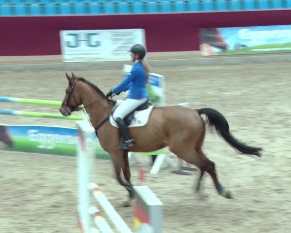 Reitturnier Neustadt/Dosse 2019