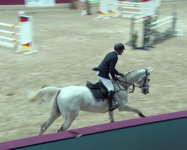 Reitturnier Neustadt/Dosse 2019