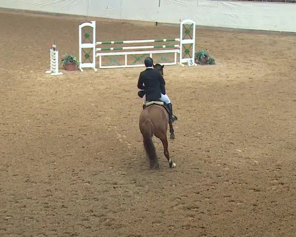 Reitturnier Kreuth/Opf. 2019