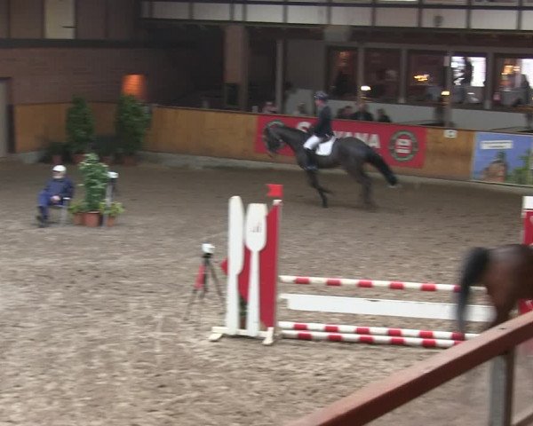 Reitturnier Hamburg-Friedrichshulde/Sylva Kuhrt 2019