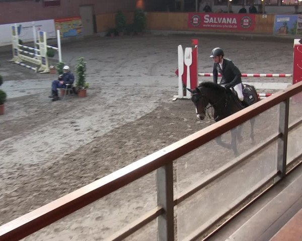 Reitturnier Hamburg-Friedrichshulde/Sylva Kuhrt 2019
