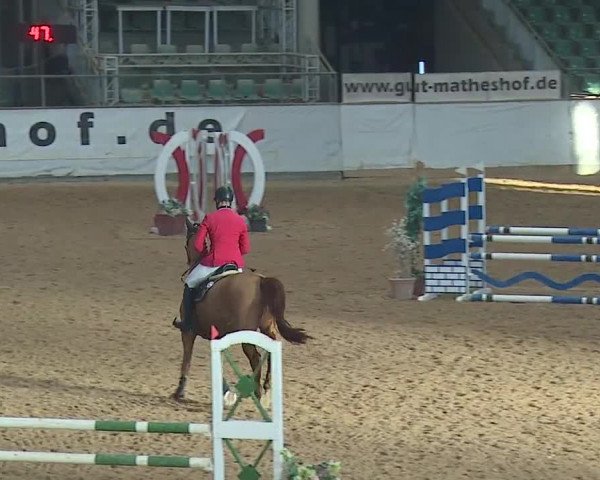 Reitturnier Kreuth/Opf. 2019
