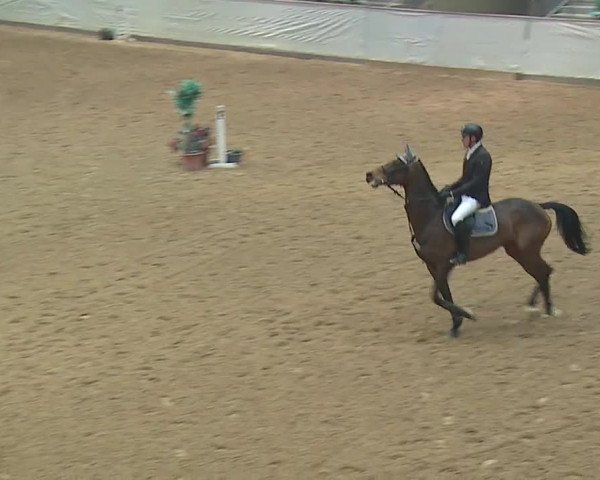 Reitturnier Kreuth/Opf. 2019