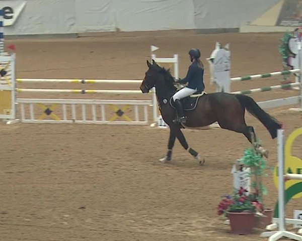 Reitturnier Kreuth/Opf. 2019
