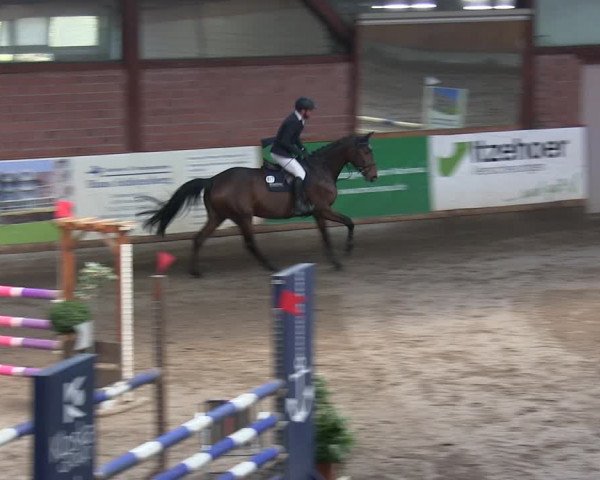 Reitturnier Hamburg-Friedrichshulde/Sylva Kuhrt 2019