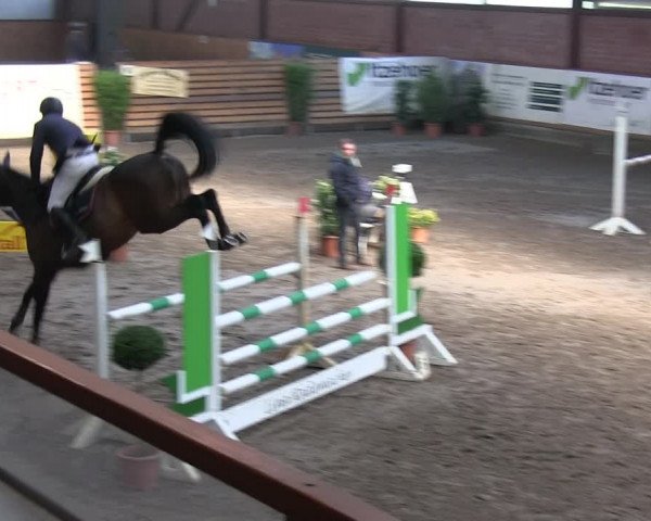 Reitturnier Hamburg-Friedrichshulde/Sylva Kuhrt 2019