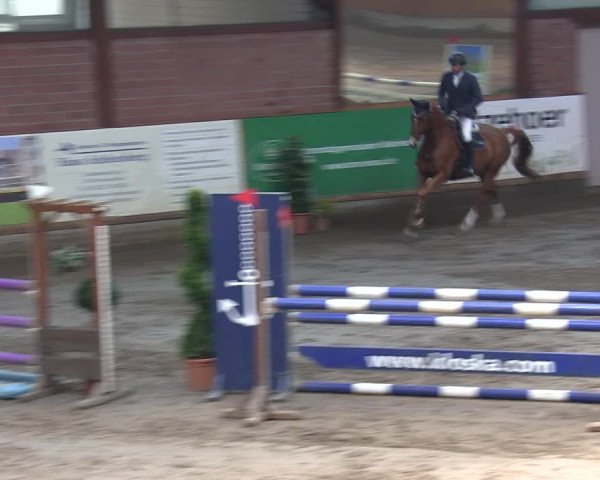 Reitturnier Hamburg-Friedrichshulde/Sylva Kuhrt 2019
