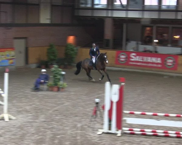 Reitturnier Hamburg-Friedrichshulde/Sylva Kuhrt 2019