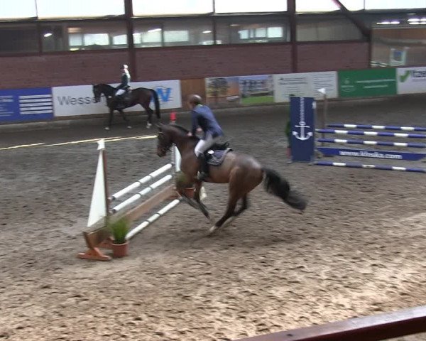 Reitturnier Hamburg-Friedrichshulde/Sylva Kuhrt 2019