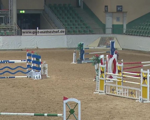Reitturnier Kreuth/Opf. 2019