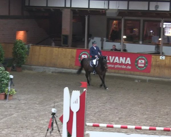Reitturnier Hamburg-Friedrichshulde/Sylva Kuhrt 2019
