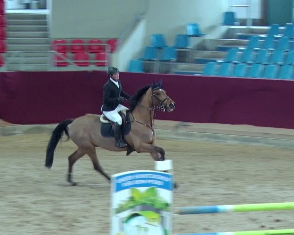 Reitturnier Neustadt/Dosse 2019