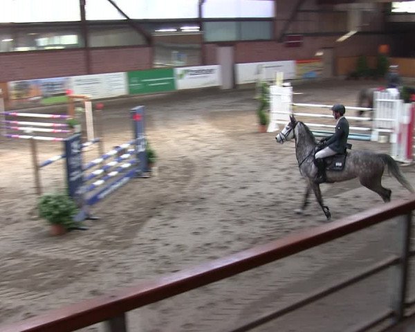 Reitturnier Hamburg-Friedrichshulde/Sylva Kuhrt 2019