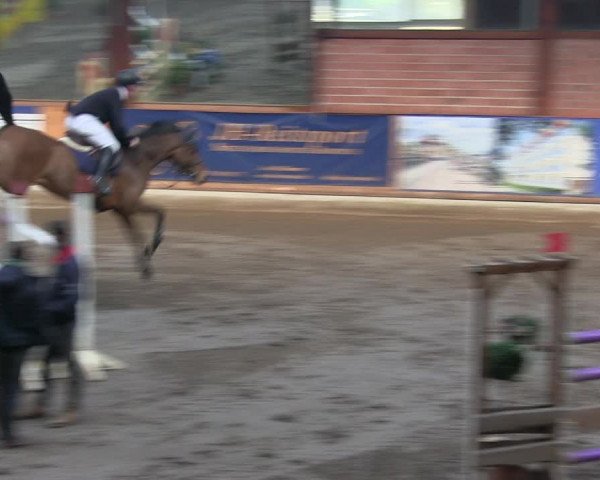 Reitturnier Hamburg-Friedrichshulde/Sylva Kuhrt 2019