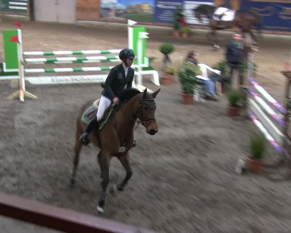 Reitturnier Hamburg-Friedrichshulde/Sylva Kuhrt 2019