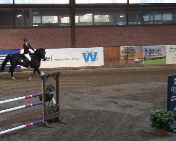 Reitturnier Hamburg-Friedrichshulde/Sylva Kuhrt 2019