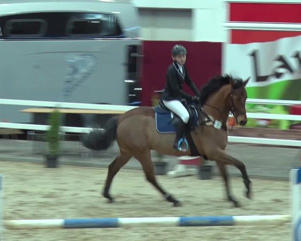 Reitturnier Neustadt/Dosse 2019