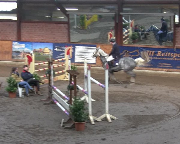 Reitturnier Hamburg-Friedrichshulde/Sylva Kuhrt 2019