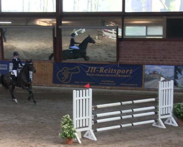 Reitturnier Hamburg-Friedrichshulde/Sylva Kuhrt 2019
