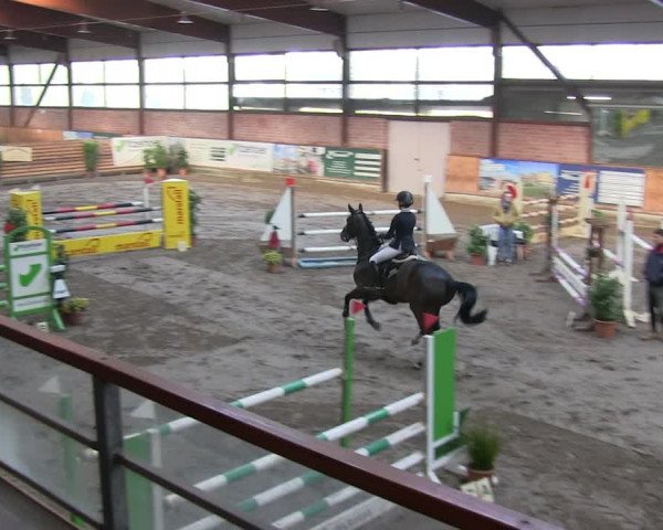 Reitturnier Hamburg-Friedrichshulde/Sylva Kuhrt 2019