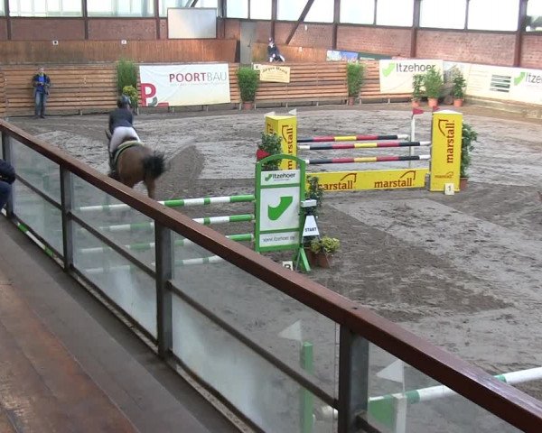 Reitturnier Hamburg-Friedrichshulde/Sylva Kuhrt 2019