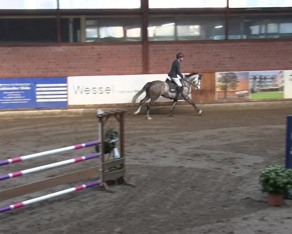 Reitturnier Hamburg-Friedrichshulde/Sylva Kuhrt 2019