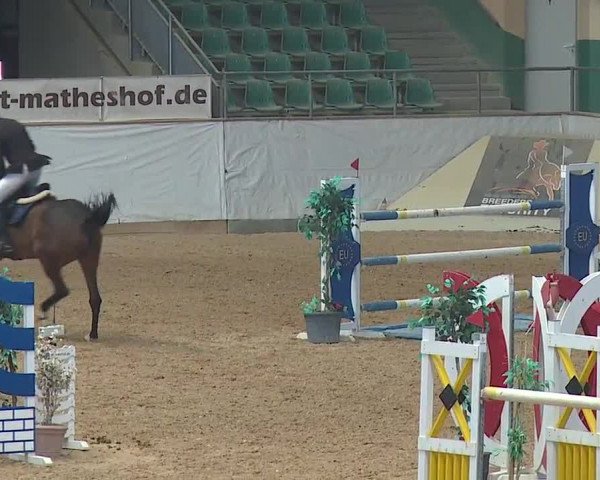 Reitturnier Kreuth/Opf. 2019