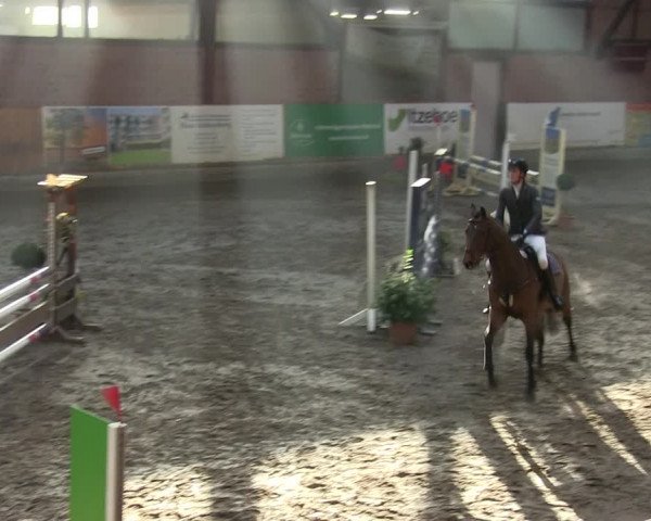Reitturnier Hamburg-Friedrichshulde/Sylva Kuhrt 2019