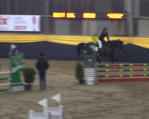 Reitturnier Erlen 2019