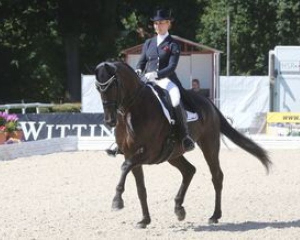 dressage horse Loveliness 2 (Hanoverian, 2008, from Lord Loxley I)