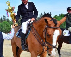jumper Calvadino M (Slovakian Warmblood, 2009, from Sable Rose)