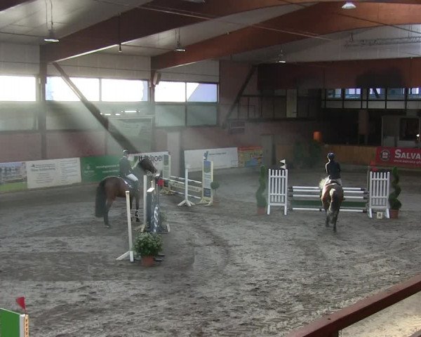 Reitturnier Hamburg-Friedrichshulde/Sylva Kuhrt 2019