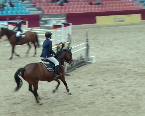 Reitturnier Neustadt/Dosse 2019
