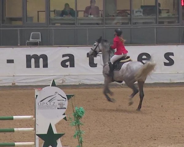 Reitturnier Kreuth/Opf. 2019