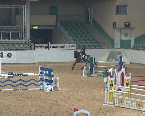 Reitturnier Kreuth/Opf. 2019