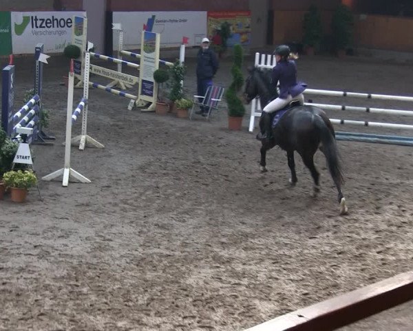 Reitturnier Hamburg-Friedrichshulde/Sylva Kuhrt 2019