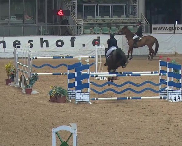 Reitturnier Kreuth/Opf. 2019