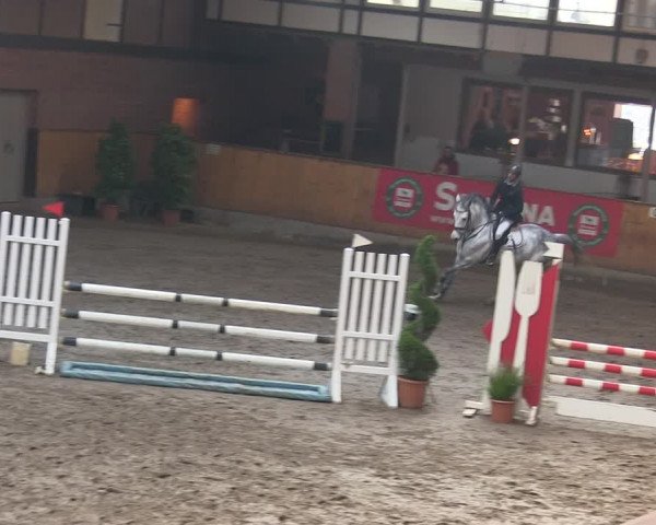 Reitturnier Hamburg-Friedrichshulde/Sylva Kuhrt 2019