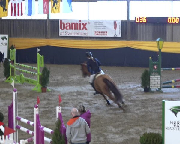 Reitturnier Erlen 2019