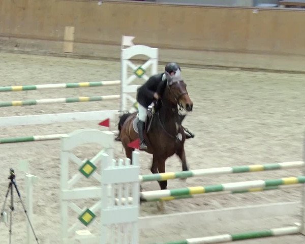Reitturnier Prussendorf 2019