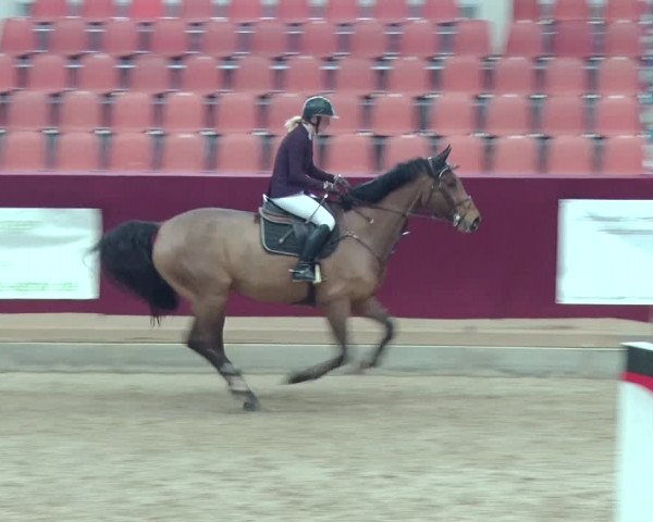 Reitturnier Neustadt/Dosse 2019