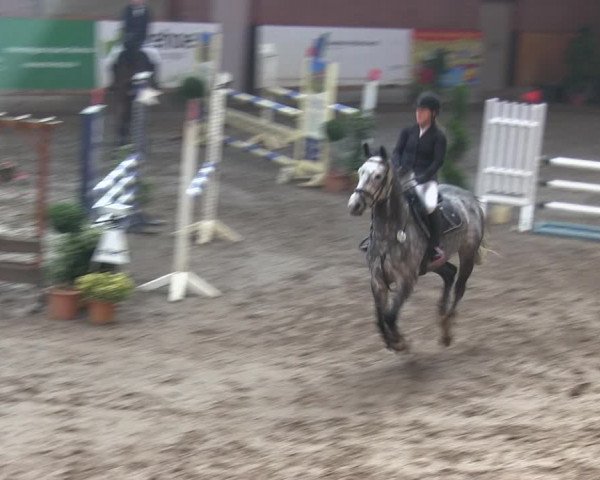 Reitturnier Hamburg-Friedrichshulde/Sylva Kuhrt 2019