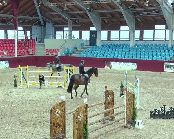 Reitturnier Neustadt/Dosse 2019