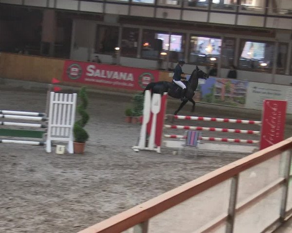 Reitturnier Hamburg-Friedrichshulde/Sylva Kuhrt 2019
