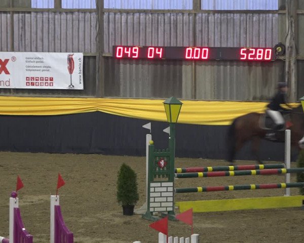 Reitturnier Erlen 2019