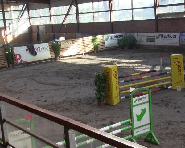 Reitturnier Hamburg-Friedrichshulde/Sylva Kuhrt 2019