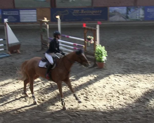 Reitturnier Hamburg-Friedrichshulde/Sylva Kuhrt 2019