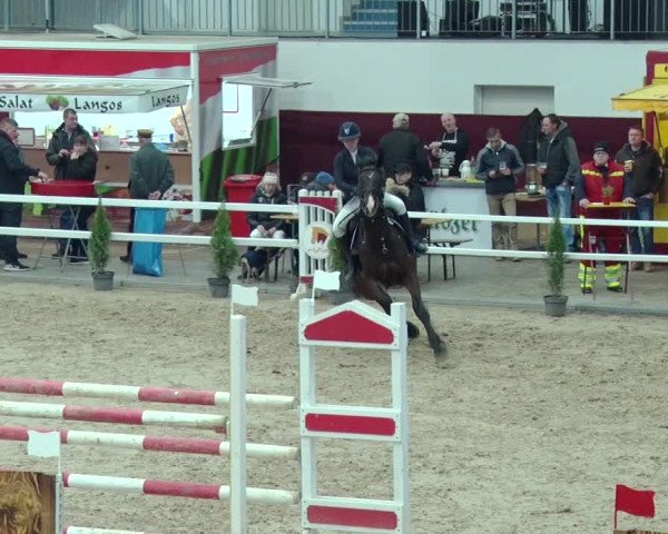 Reitturnier Neustadt/Dosse 2019