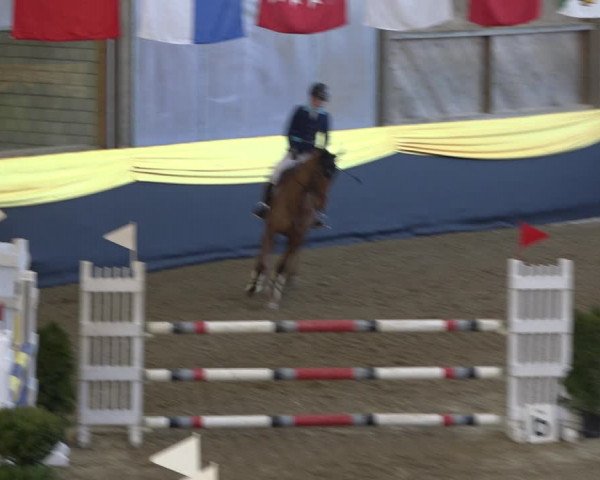 Reitturnier Erlen 2019