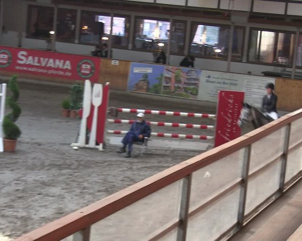 Reitturnier Hamburg-Friedrichshulde/Sylva Kuhrt 2019